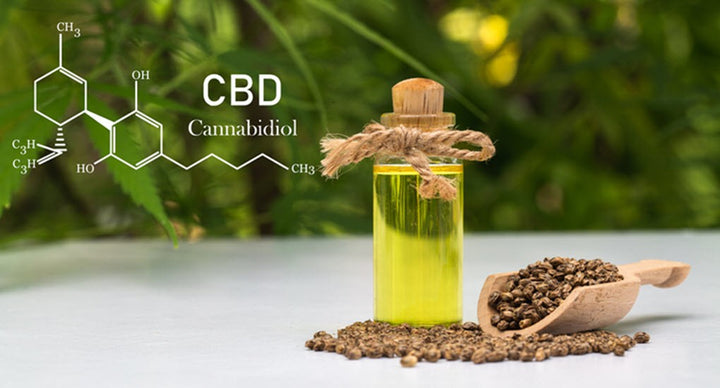 How to Choose CBD For Your Pets