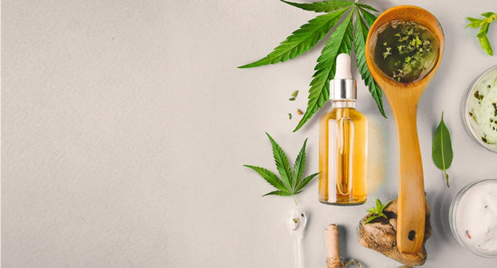 What Is the Difference Between Hemp Seed Oil And CBD?