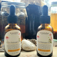 Echinacea