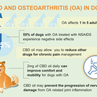 This is a slide of the benefits of using CBD with dogs suffering from Osteoarthritis. Without the side effects of NSAIDs.