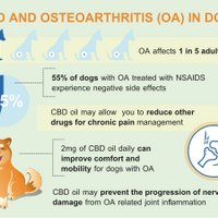 This is a slide of the benefits of using CBD with dogs suffering from Osteoarthritis. Without the side effects of NSAIDs. 