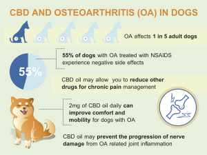 This is a slide of the benefits of using CBD with dogs suffering from Osteoarthritis. Without the side effects of NSAIDs. 